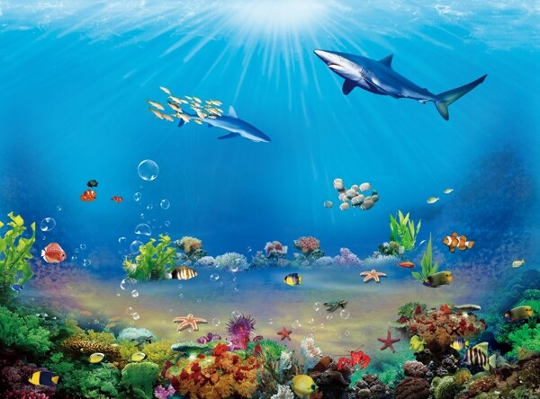 絢麗海洋psd海底世界