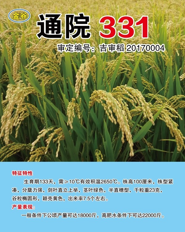 水稻种通院331图片