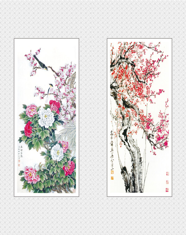 牡丹臘梅圖片