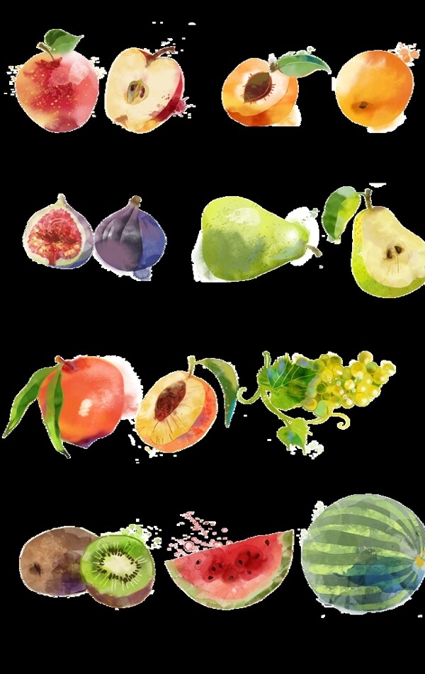 14种水果手绘