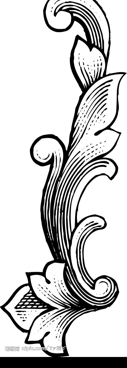 證書(shū)花紋圖片