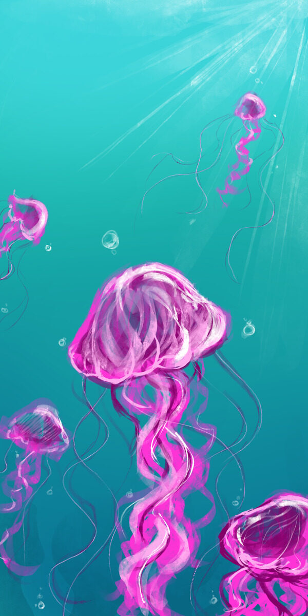 水母