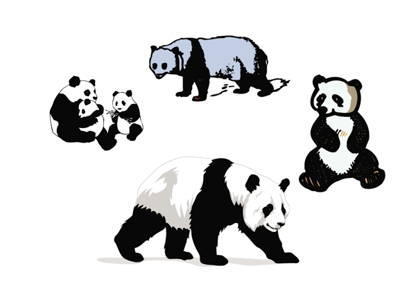 熊貓圖片