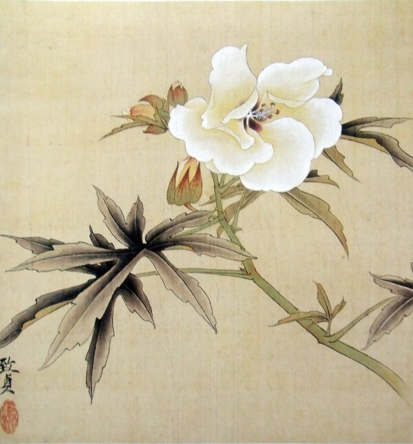 水墨花卉植物圖片