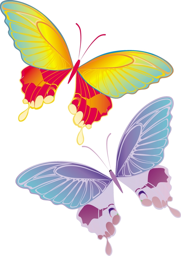 2只翩翩起舞的彩色蝴蝶矢量素材