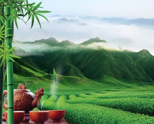 茶山圖片
