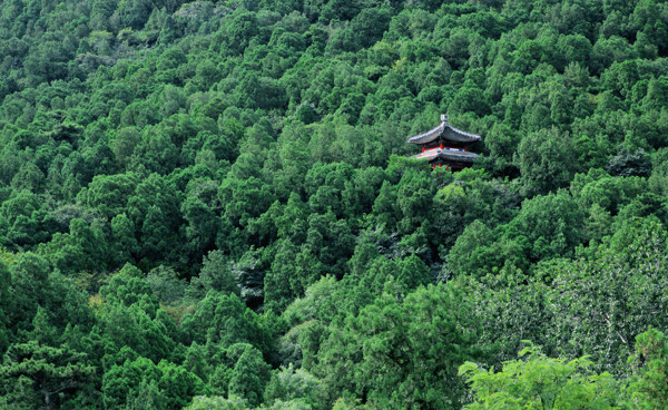 香山圖片