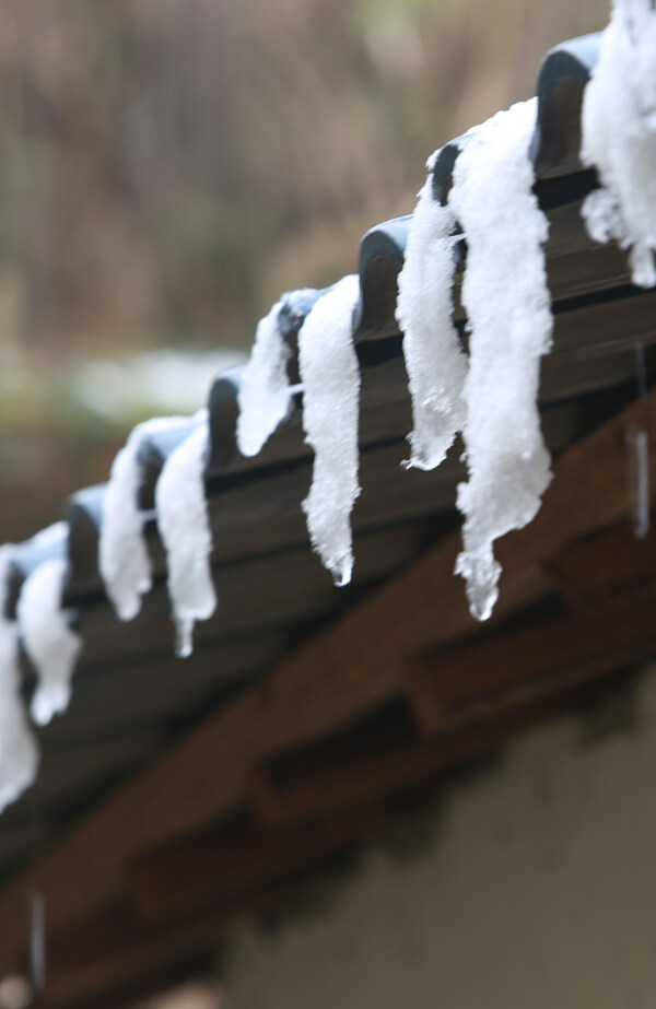 雪
