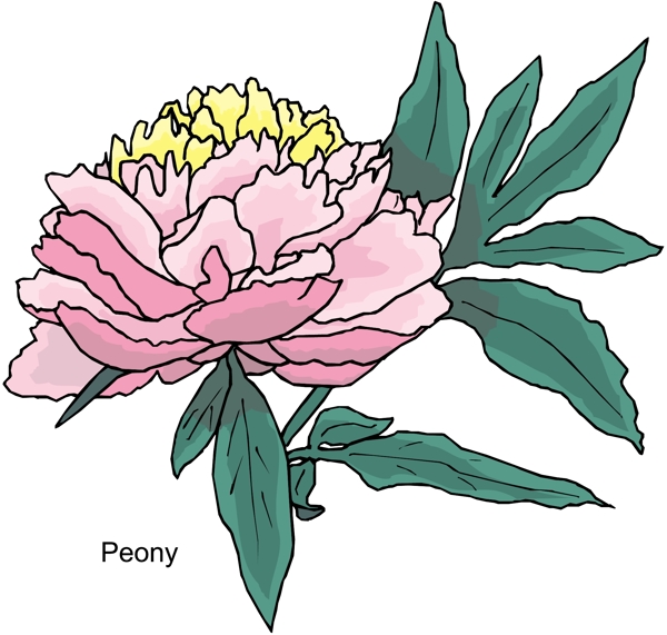 花朵花草鮮花矢量EPS格式1703