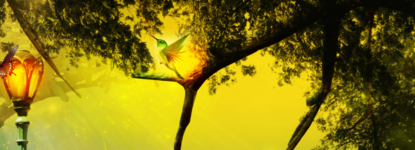 樹林夢(mèng)幻背景banner