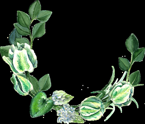 卡通清新綠色植物透明素材