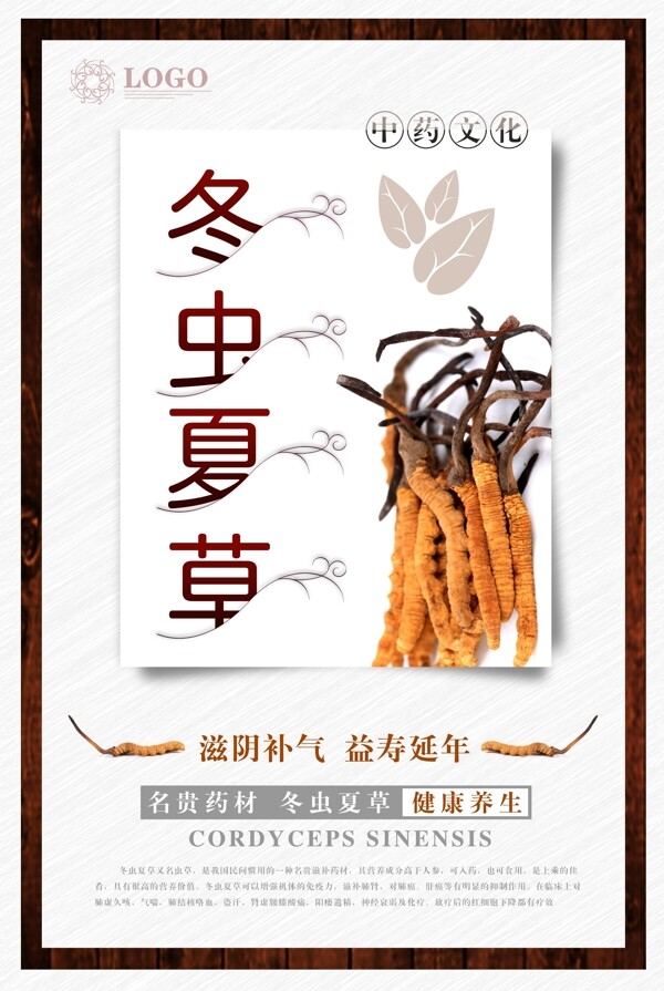 中國(guó)風(fēng)冬蟲夏草促銷海報(bào)
