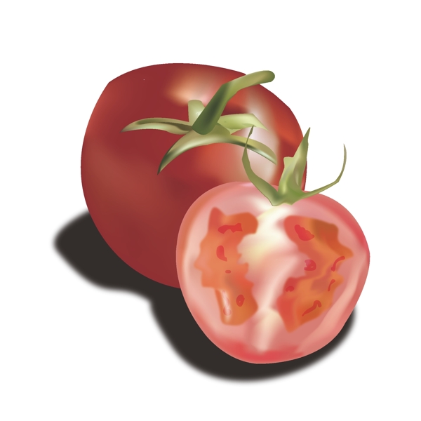 矢量手绘逼真写实小番茄可商用元素
