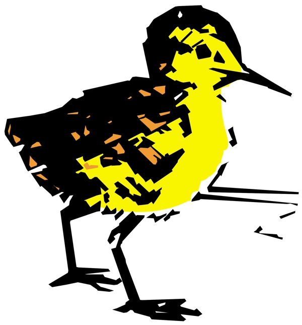 各種鳥類鳥動物矢量素材EPS格式0020
