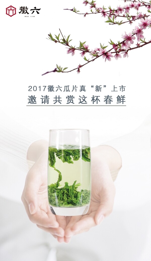 2017喝茶
