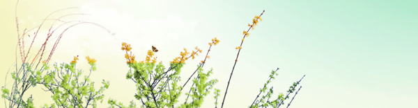 淘寶女a(chǎn)nner創(chuàng)意設(shè)計