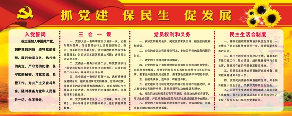 抓黨建保民生促發(fā)展圖片