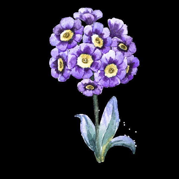 紫色花卉卡通透明素材