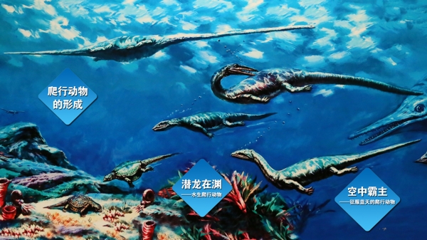 爬行盛世