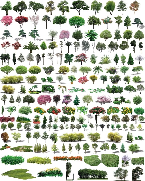 园林树木草地图片