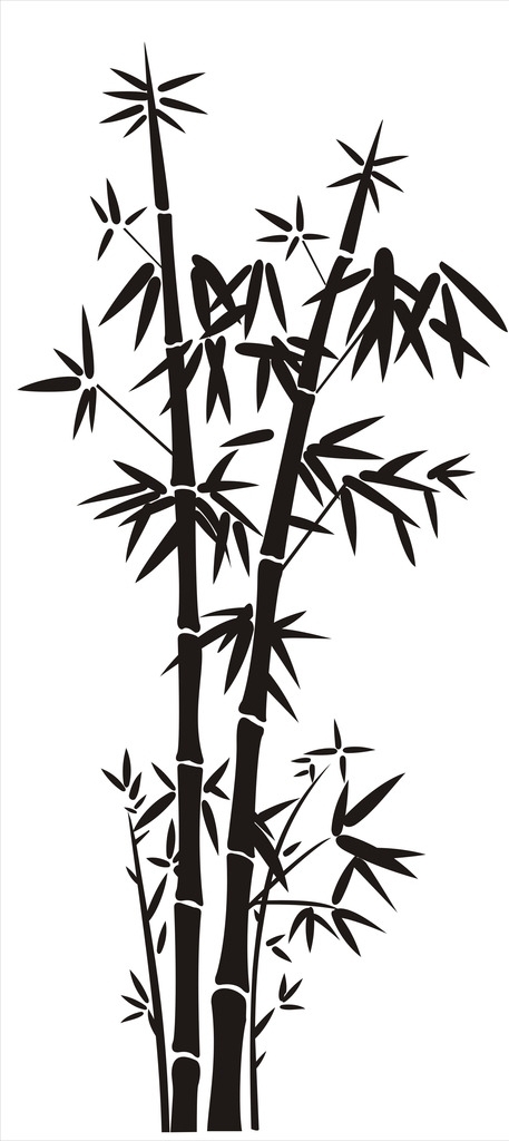 竹子圖片