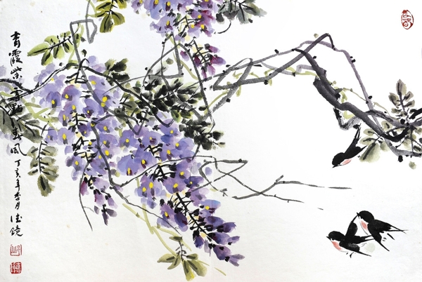 紫藤燕子图片