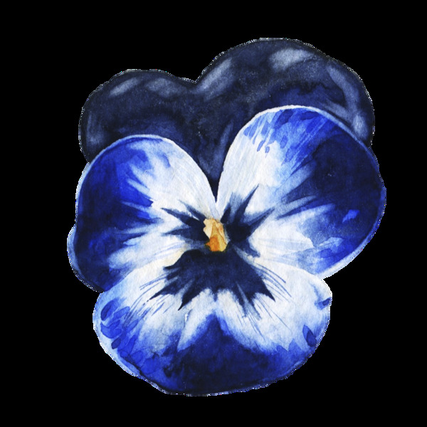 杜鵑花透明裝飾圖案