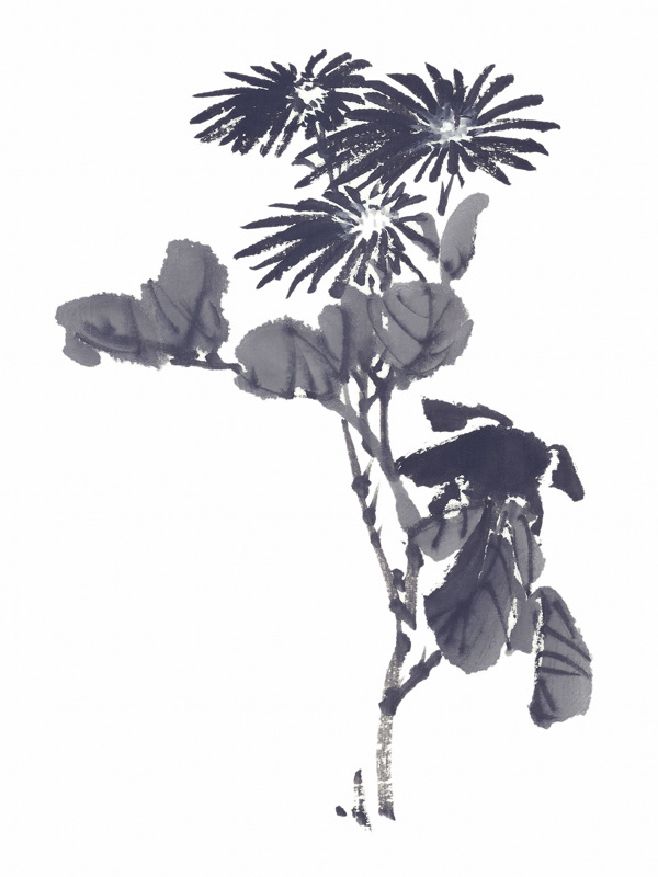 國(guó)畫花