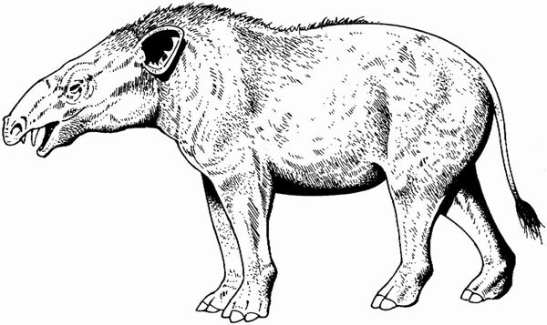 遠(yuǎn)古時(shí)代的動(dòng)物恐龍手繪畫動(dòng)物素描
