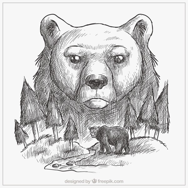 手绘熊和森林