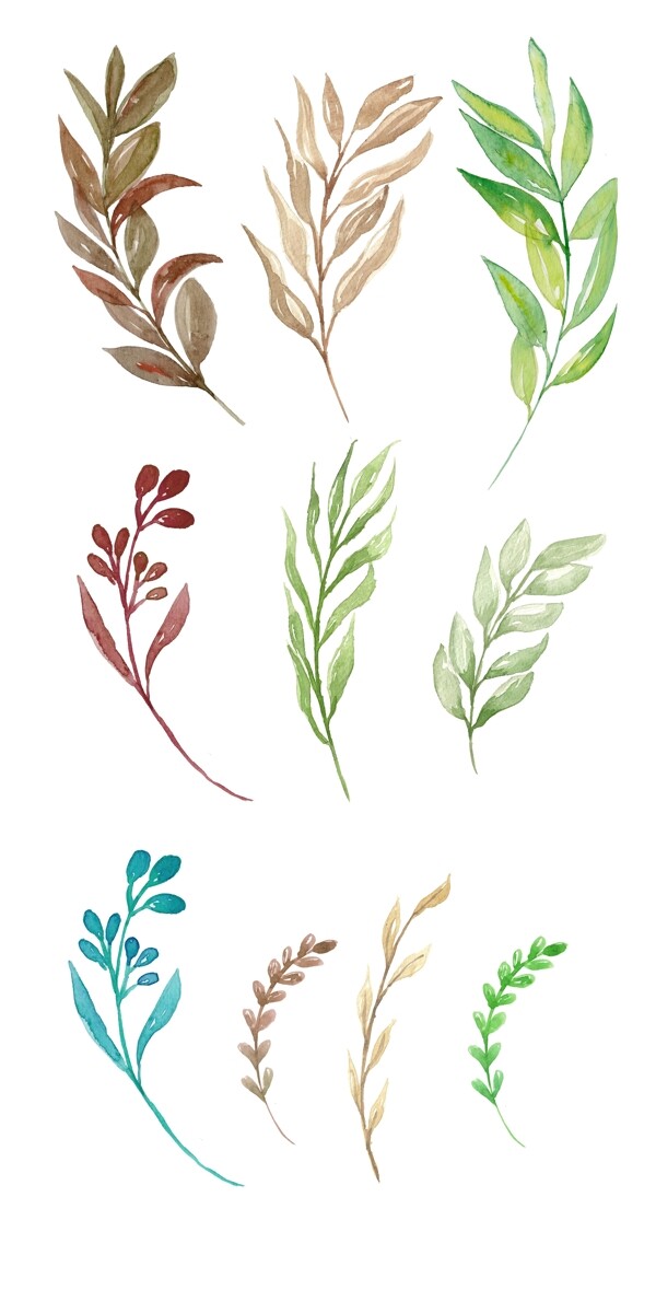 绿色花藤植物插画