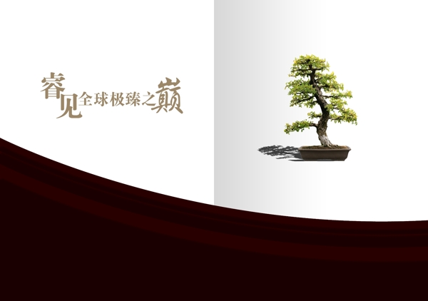 封面設(shè)計(jì)圖片
