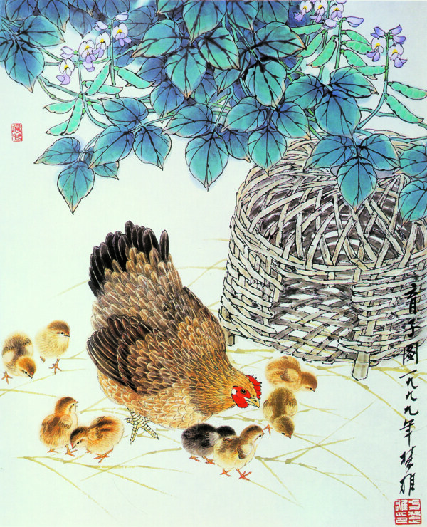 母雞覓食圖片