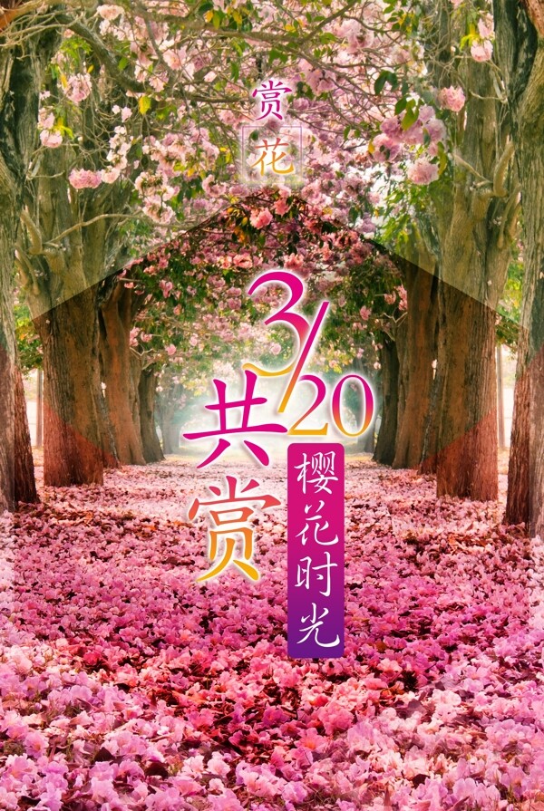 櫻花節(jié)宣傳海報(bào)