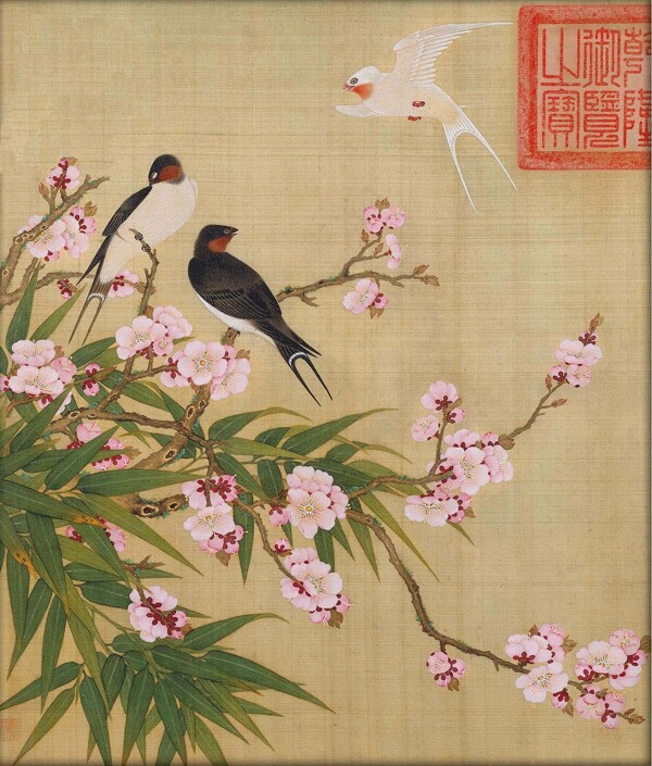 唯美工筆花鳥圖片