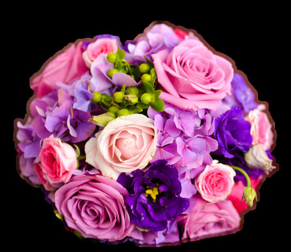 美丽紫色玫瑰花花朵花束实物元素