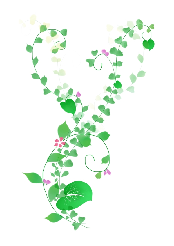 绿色植物花藤插画