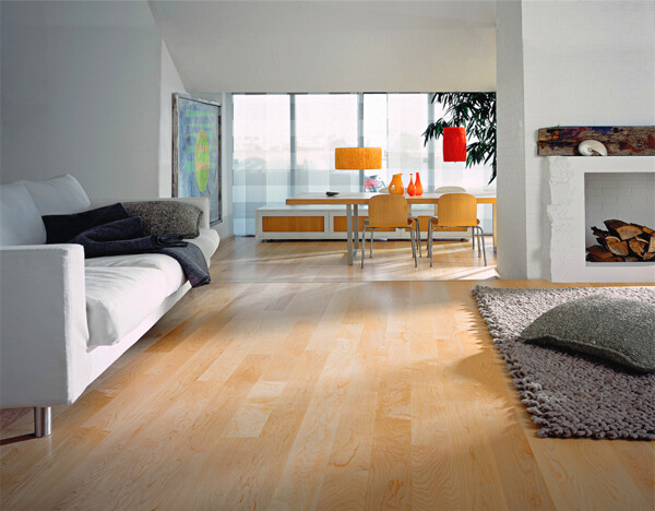 现代风格实木地板设计效果图