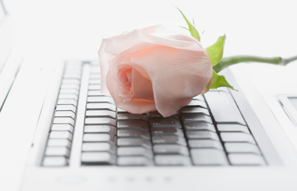 键盘上的粉色玫瑰图片