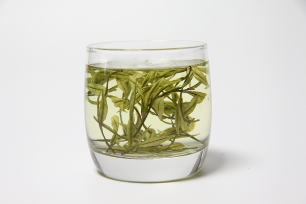 安吉白茶