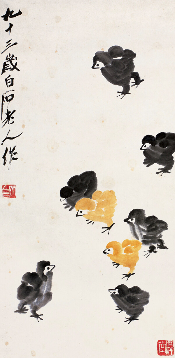 小雞圖片