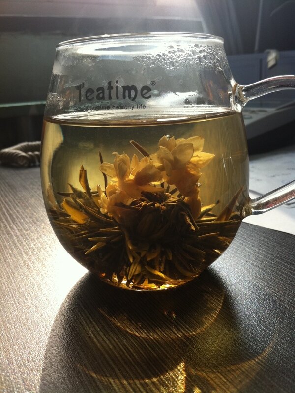 觀賞茶花茶圖片