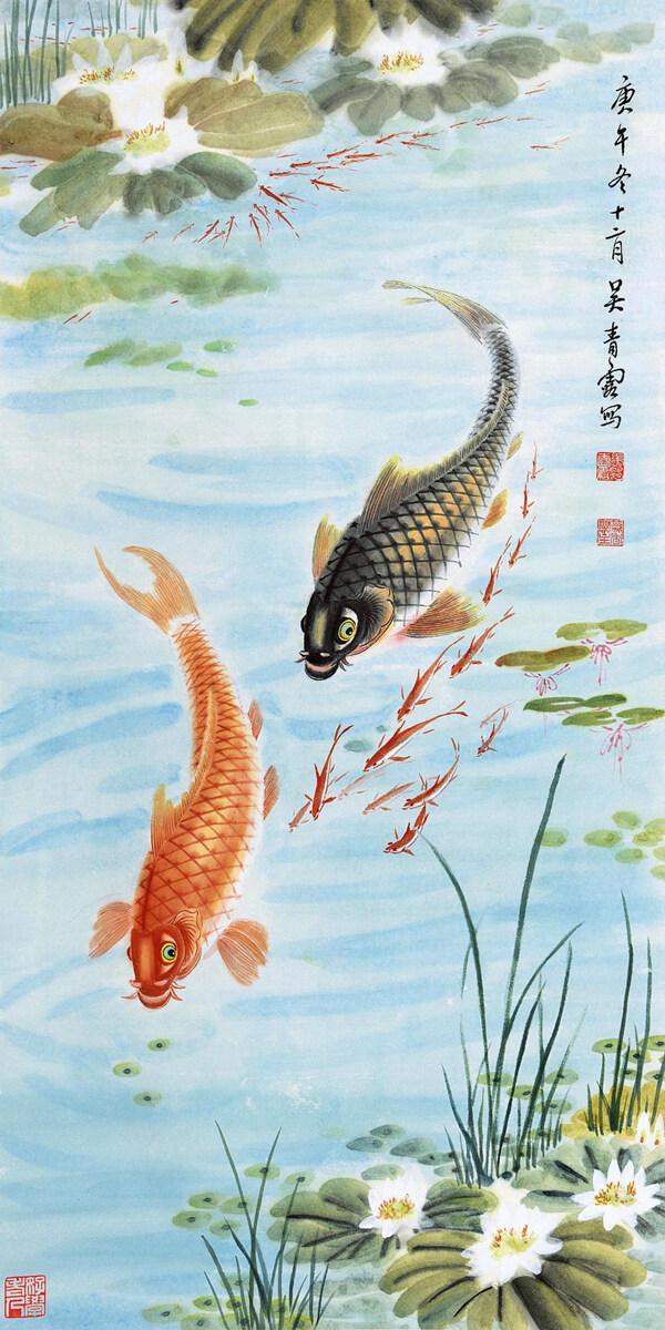 魚樂圖圖片