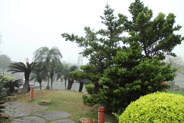 千燈湖公園一角圖片