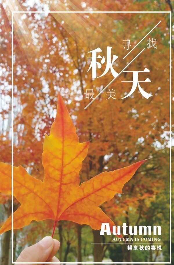 秋