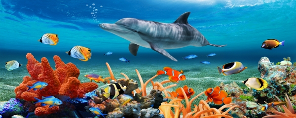 海底世界