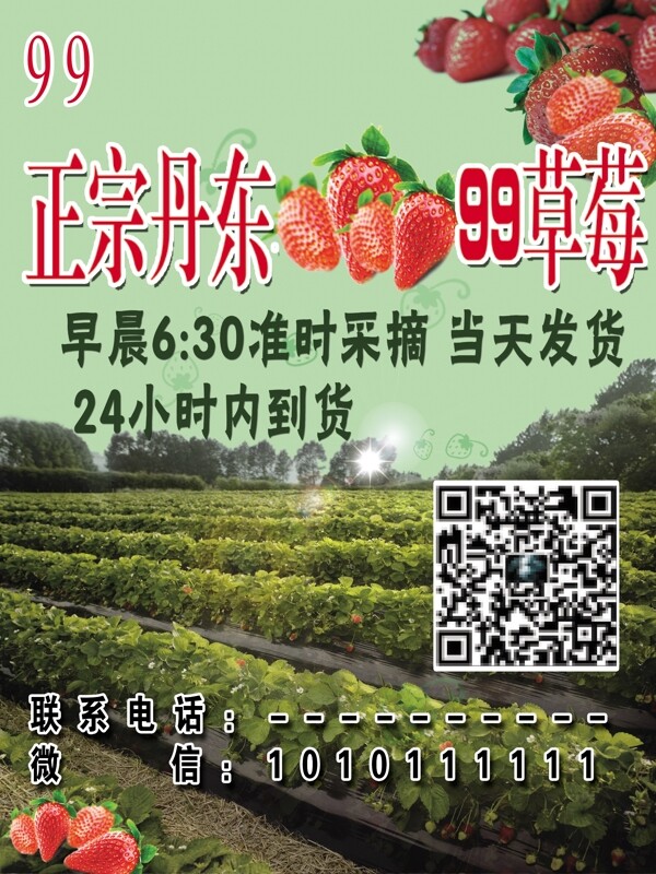 九九草莓海報