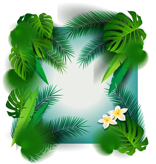 夏季热带棕榈树叶框架矢量素材