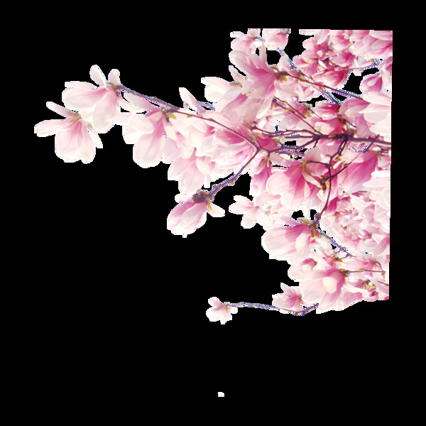 浪漫粉色花朵元素