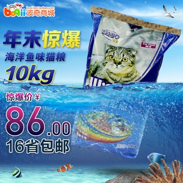 喜多魚直通車